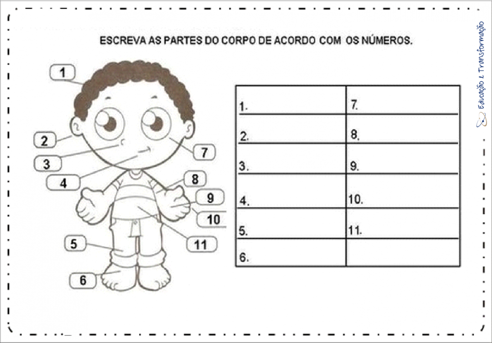 Atividades Corpo Humano Escreva os nomes Educação e Transformação