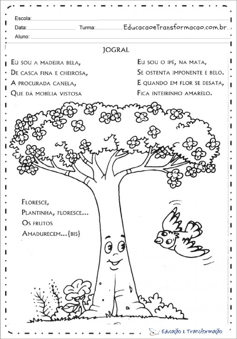 Atividades Meio Ambiente para Ensino Fundamental e Educação Infantil
