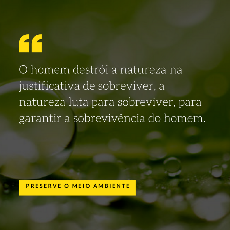 Frases Sobre O Meio Ambiente Mensagens Sobre A Preserva O