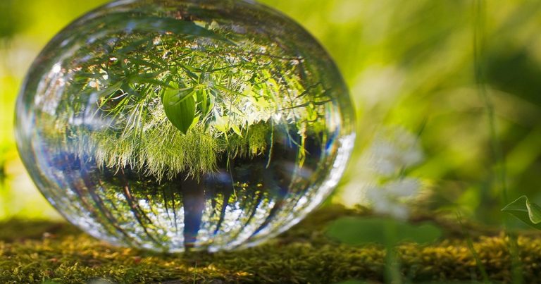 Textos Sobre Meio Ambiente Para Trabalhar Dia Mundial Do Meio Ambiente