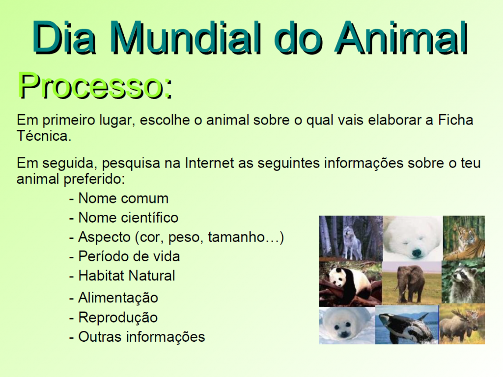 Dia Mundial Dos Animais é Celebrado No Dia 4 De Outubro E Não é Feriado