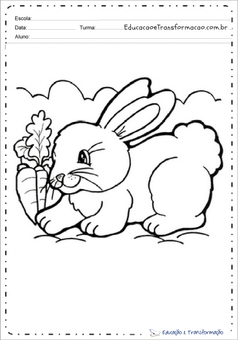 coelho para colorir e imprimir desenhos de animais educação e