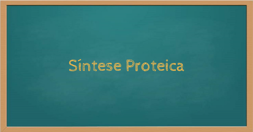 Síntese Proteica