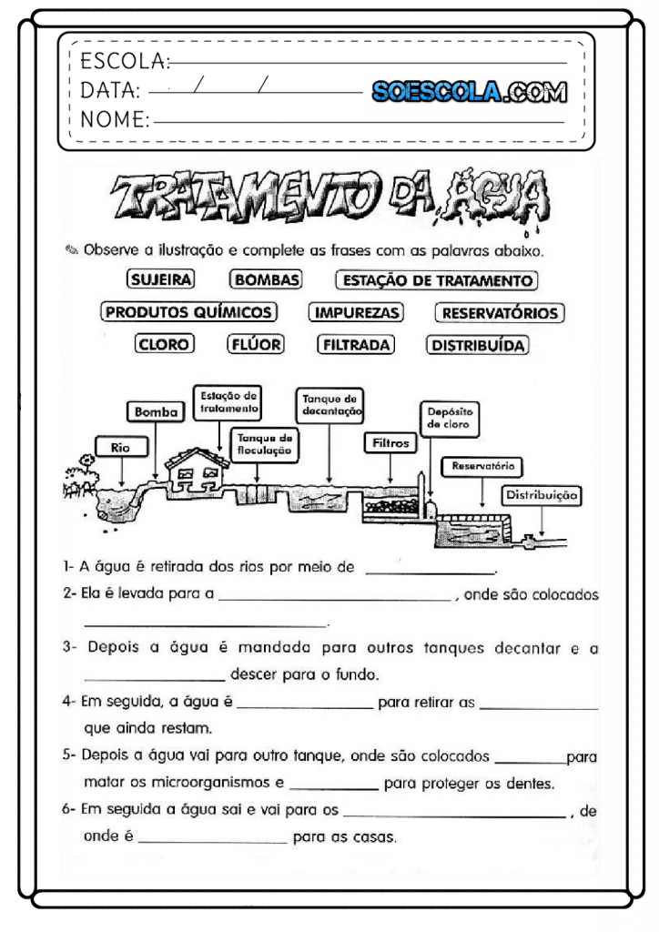 Atividades de Ciências 5 ano – Educação e Transformação