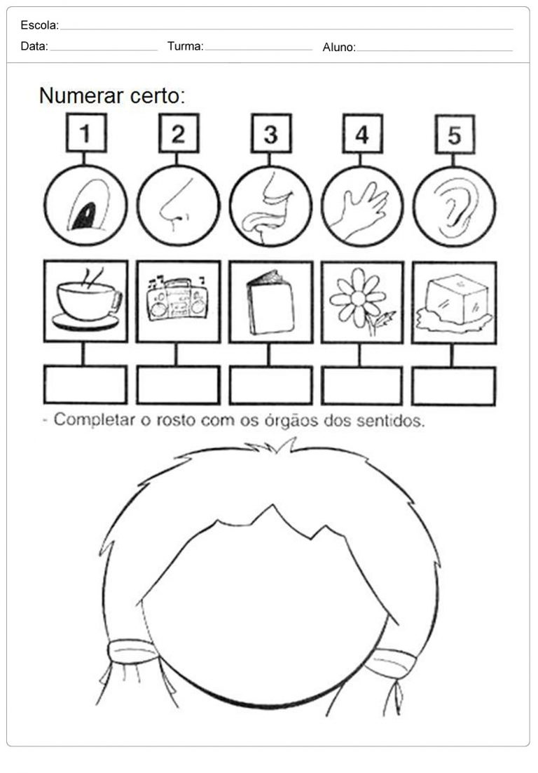 Atividades Os Cinco Sentidos Para Educa O Infantil Folha Educa O E Transforma O